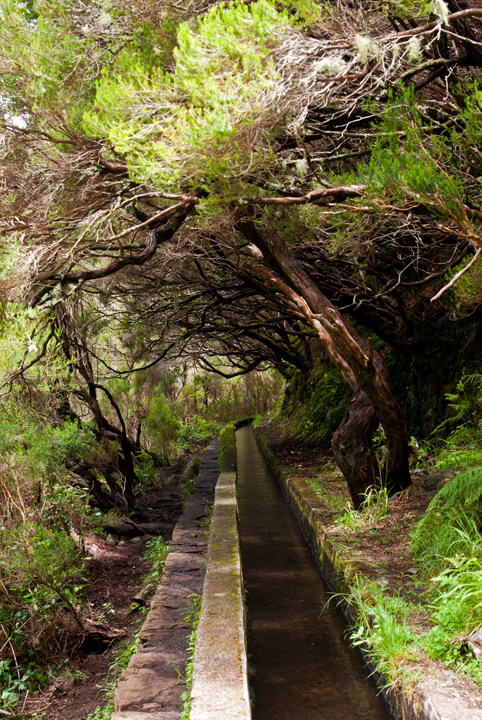 434_Madera_Levada das 25 Fontes.jpg